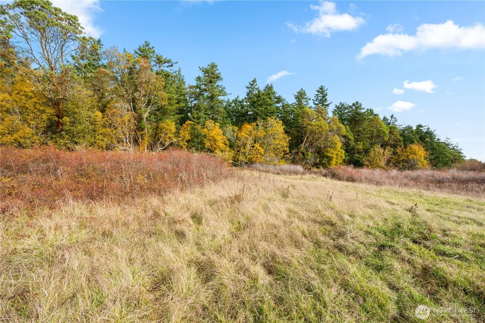 0 Pear Point Road Friday Harbor, WA 98250
