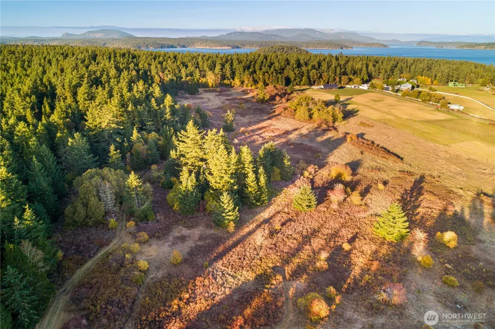 0 Pear Point Road Friday Harbor, WA 98250
