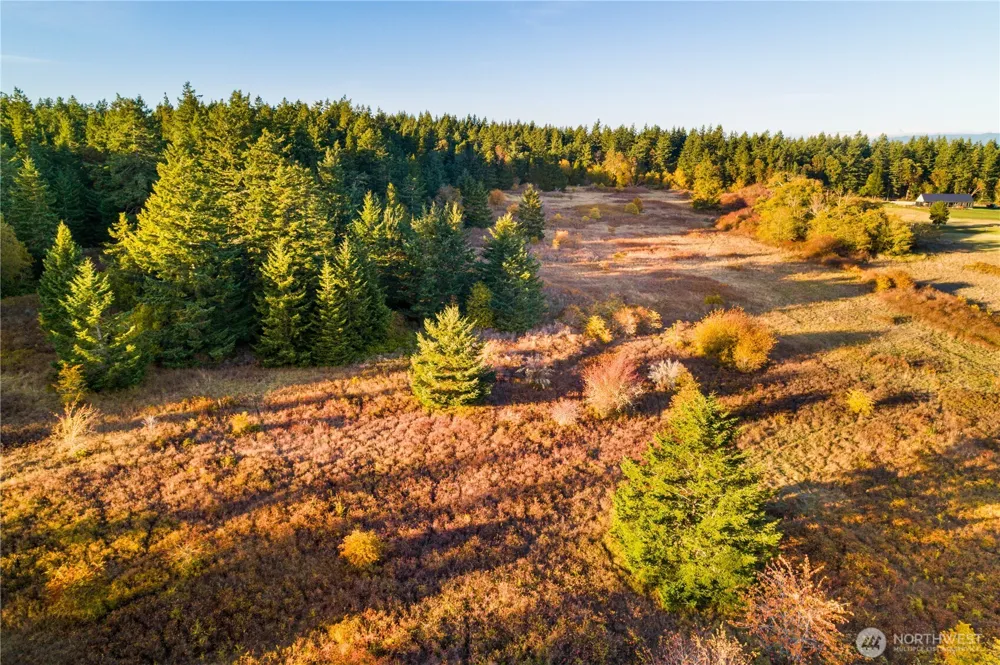0 Pear Point Road Friday Harbor, WA 98250