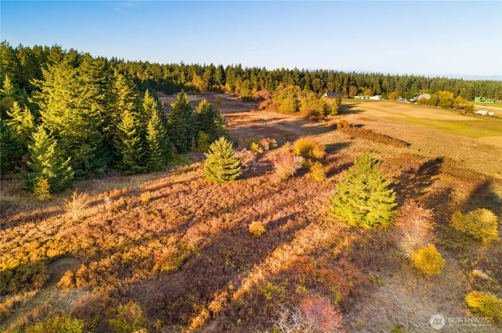 0 Pear Point Road Friday Harbor, WA 98250