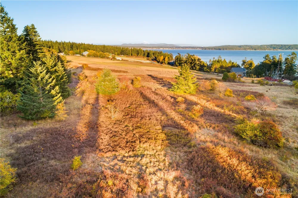 0 Pear Point Road Friday Harbor, WA 98250