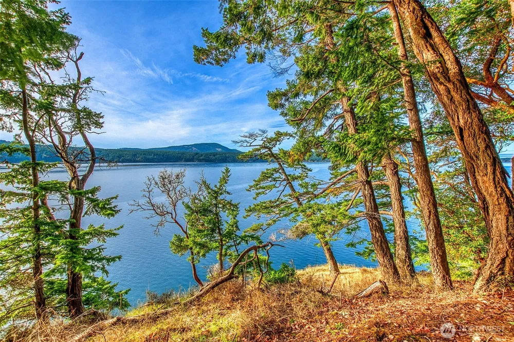 599 Shore Drive Orcas Island, WA 98245
