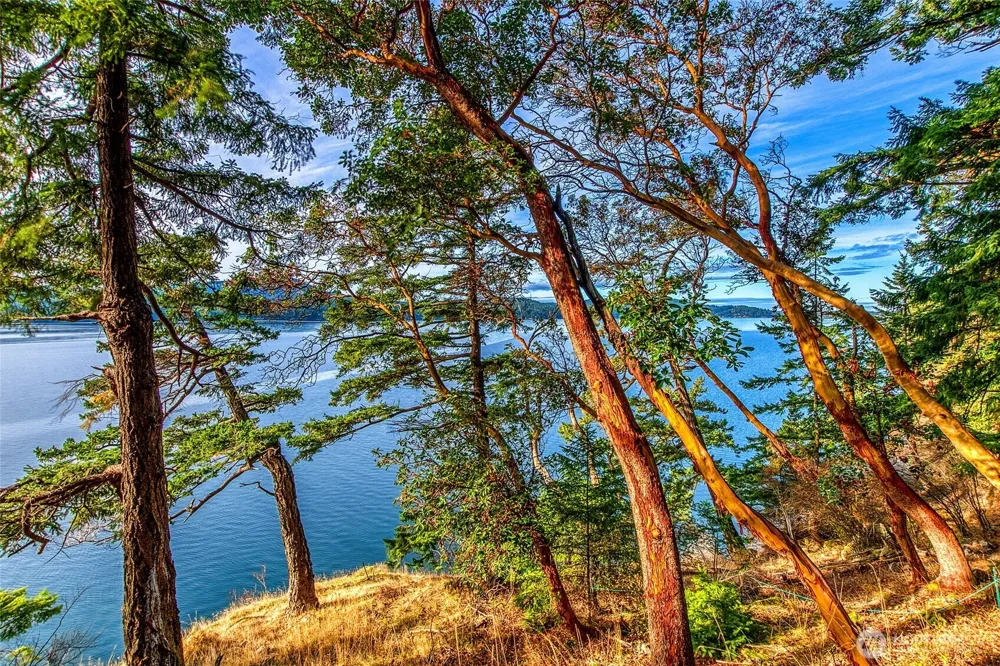 599 Shore Drive Orcas Island, WA 98245