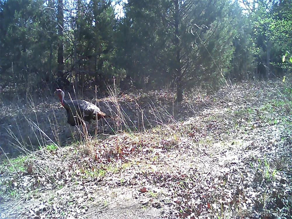 Fig Road Henryetta, OK 74437
