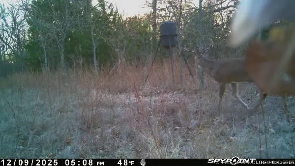 Fig Road Henryetta, OK 74437