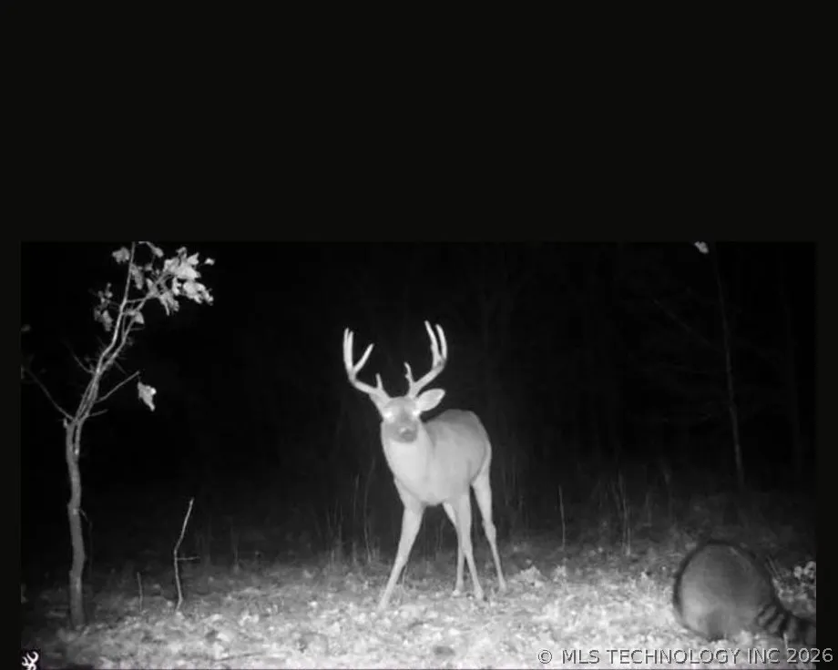Fig Road Henryetta, OK 74437