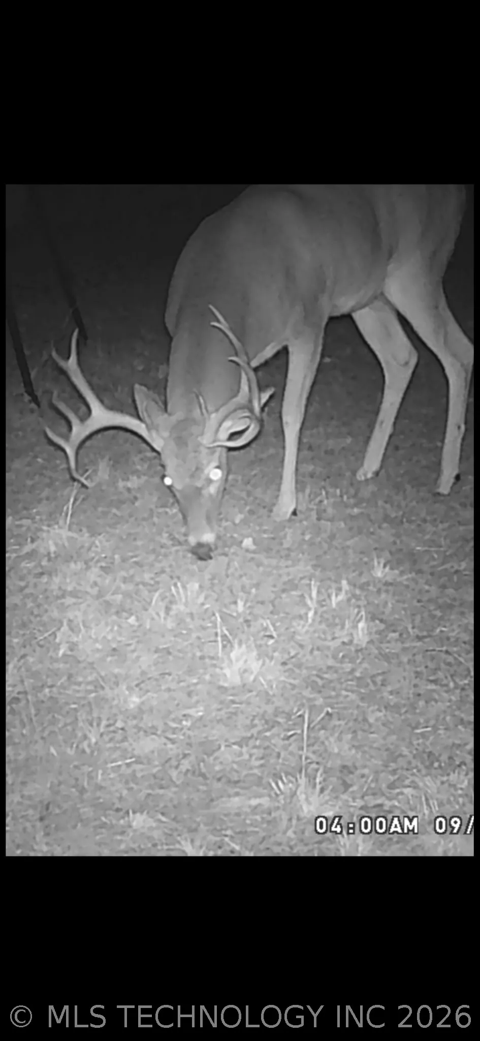 Fig Road Henryetta, OK 74437