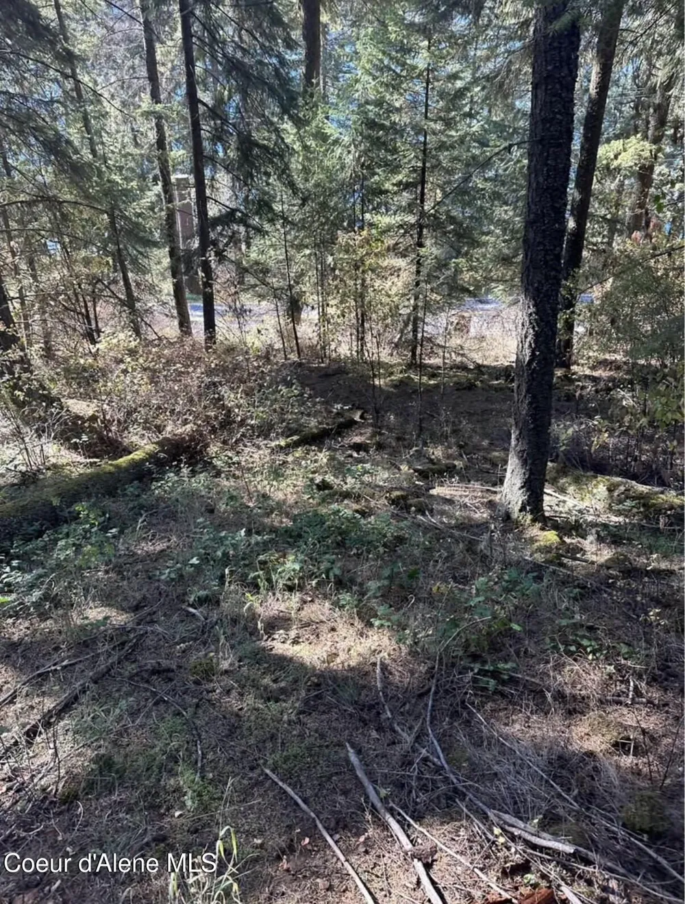 S HWY 97 Harrison, ID 83833