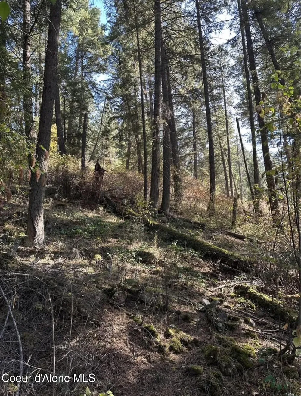S HWY 97 Harrison, ID 83833