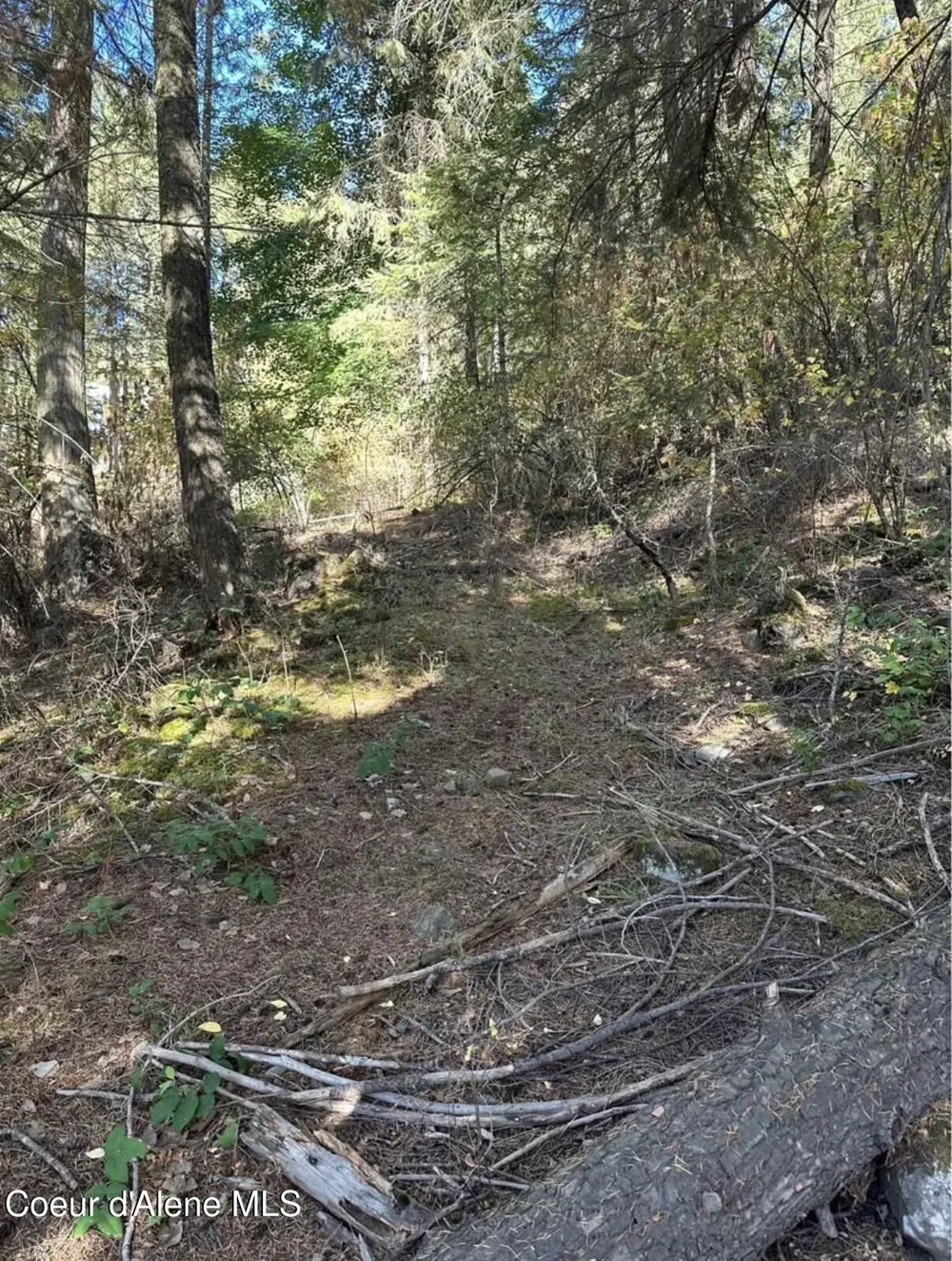 S HWY 97 Harrison, ID 83833