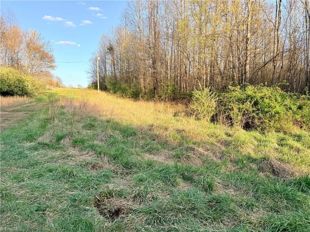 9076 Alleghany Lane Pilot Mountain, NC 27041