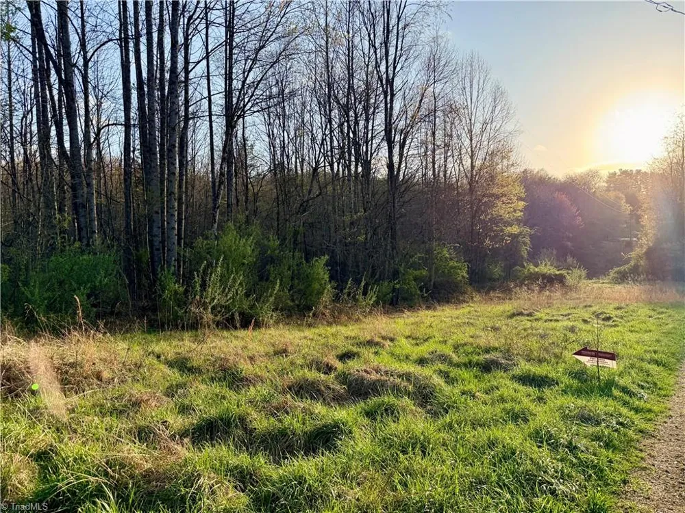 9076 Alleghany Lane Pilot Mountain, NC 27041