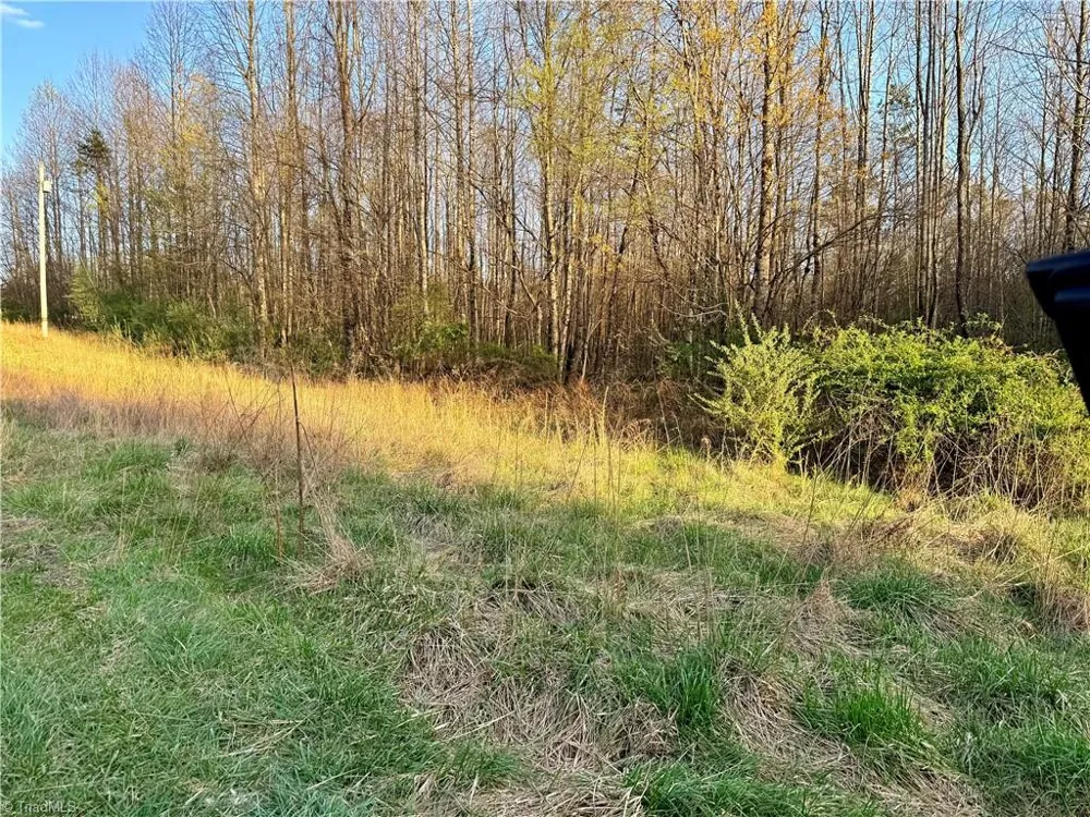 9076 Alleghany Lane Pilot Mountain, NC 27041