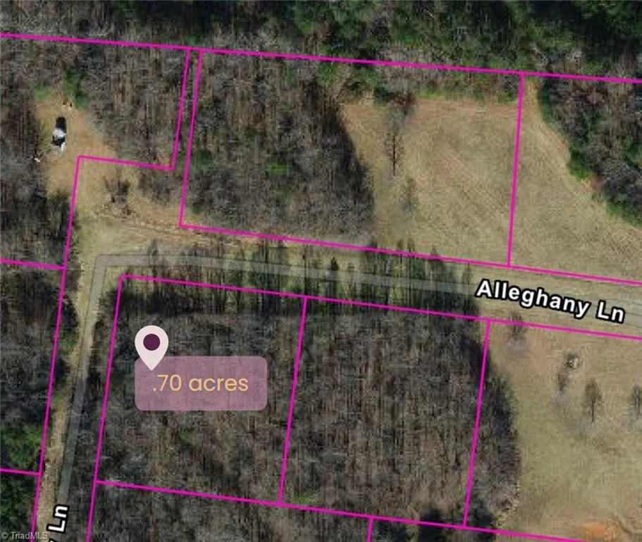9076 Alleghany Lane Pilot Mountain, NC 27041