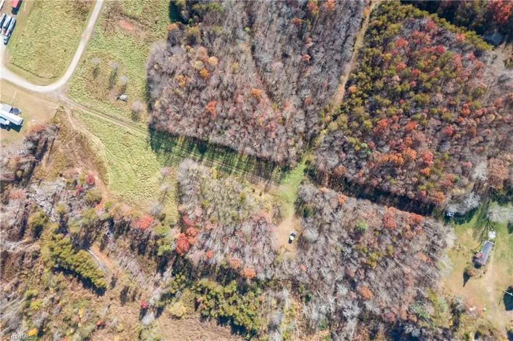 9076 Alleghany Lane Pilot Mountain, NC 27041
