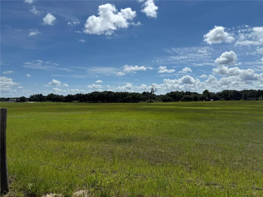 SW 60TH AVE Bushnell, FL 33513