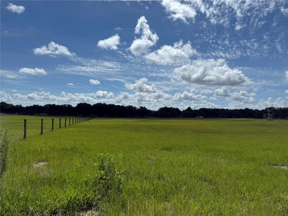 SW 60TH AVE Bushnell, FL 33513
