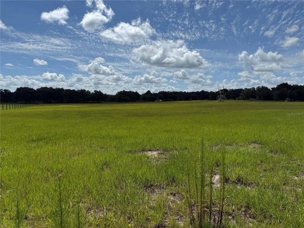 SW 60TH AVE Bushnell, FL 33513