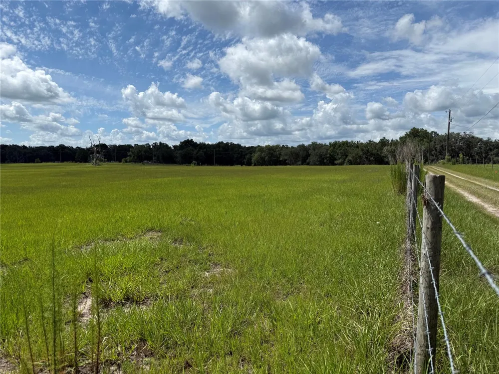SW 60TH AVE Bushnell, FL 33513