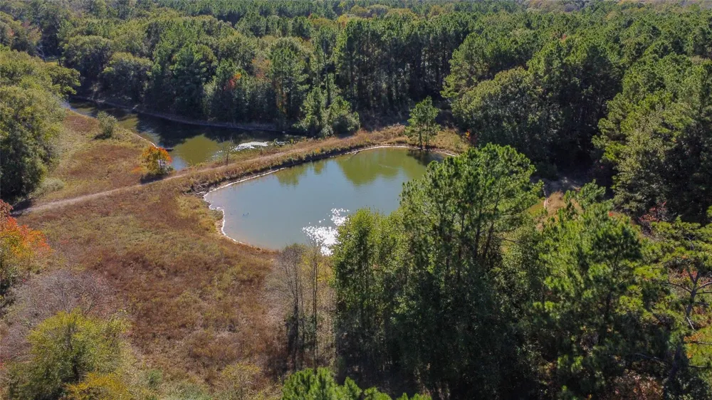 Fm-1774 Plantersville, TX 77363