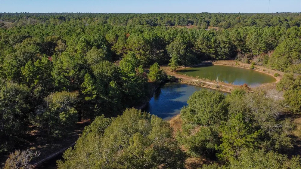 Fm-1774 Plantersville, TX 77363