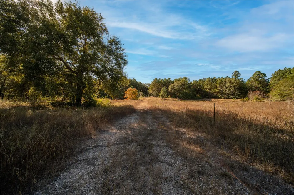 Fm-1774 Plantersville, TX 77363