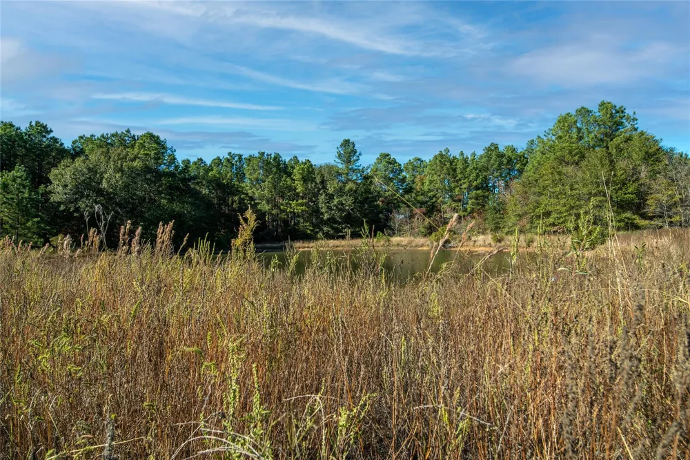 Fm-1774 Plantersville, TX 77363