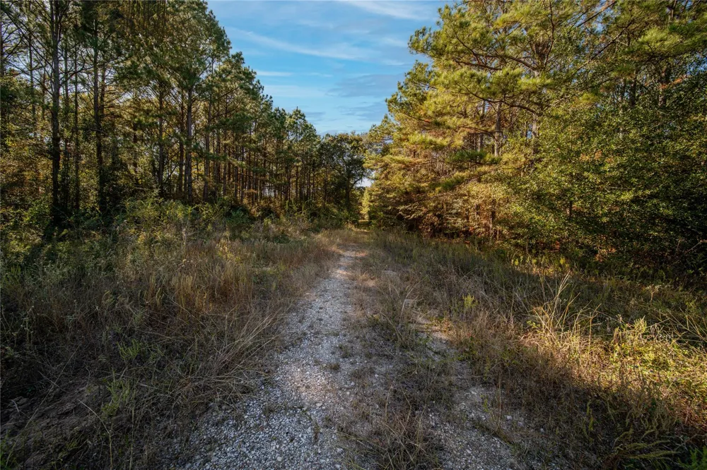 Fm-1774 Plantersville, TX 77363