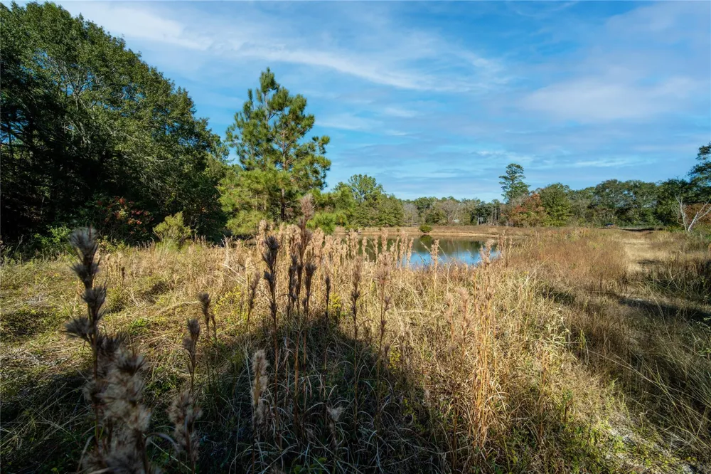 Fm-1774 Plantersville, TX 77363