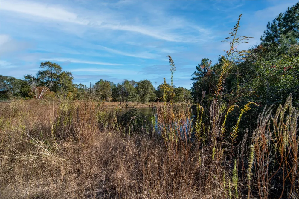 Fm-1774 Plantersville, TX 77363