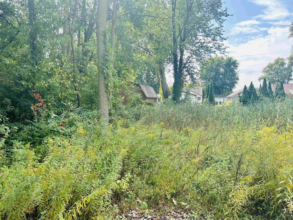 Shady Shores Road Bangor Charter Township, MI 48706