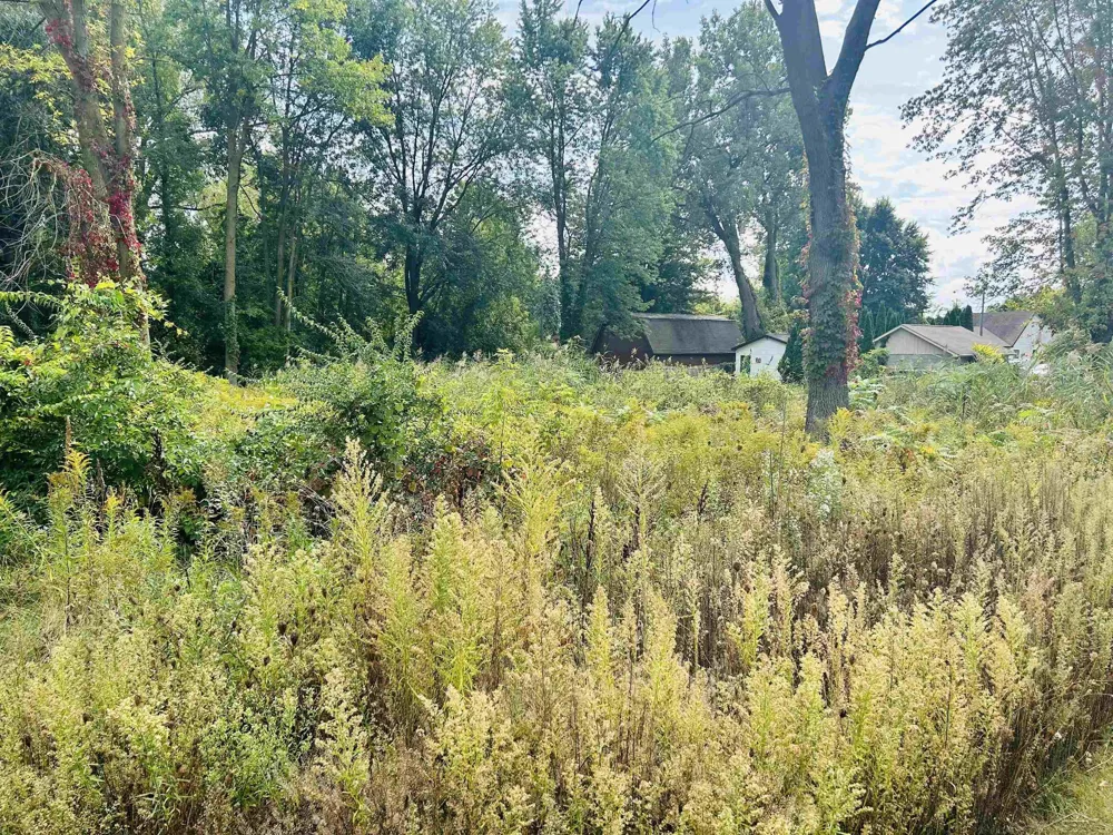 Shady Shores Road Bangor Charter Township, MI 48706
