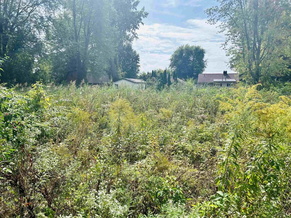 Shady Shores Road Bangor Charter Township, MI 48706