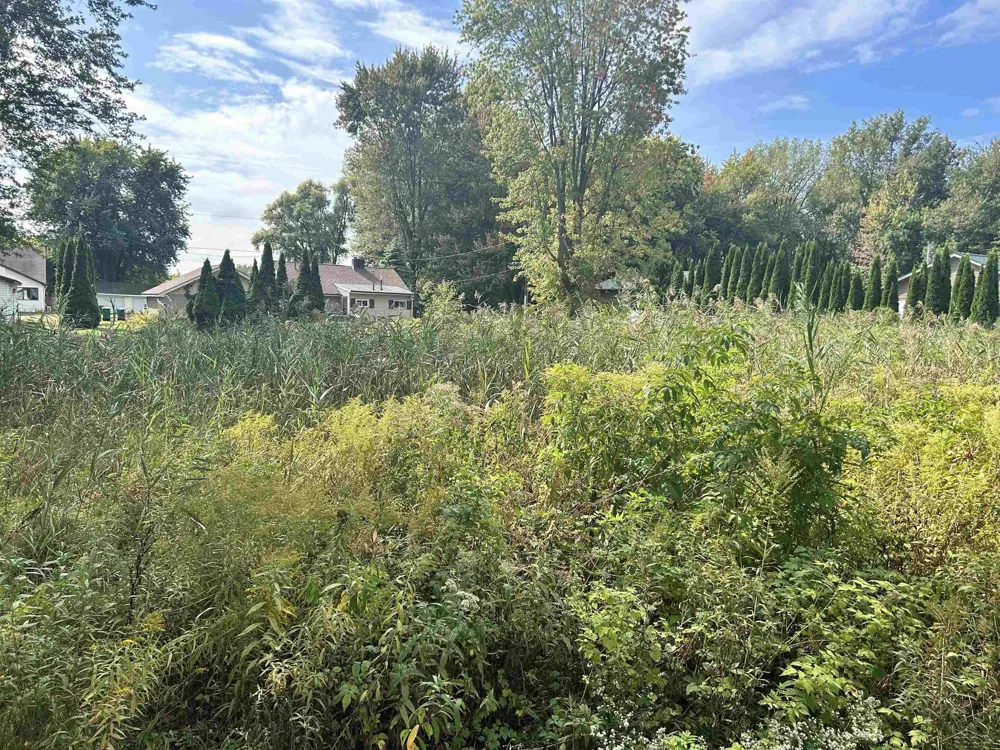 Shady Shores Road Bangor Charter Township, MI 48706