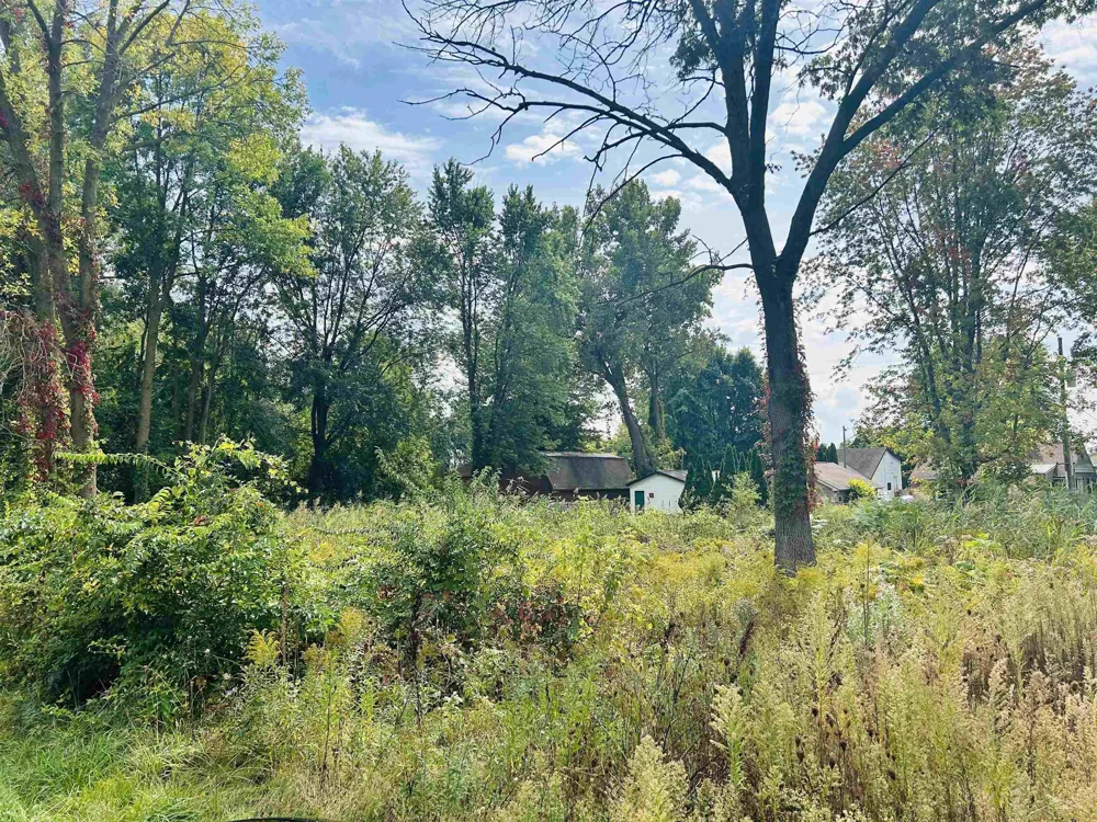 Shady Shores Road Bangor Charter Township, MI 48706