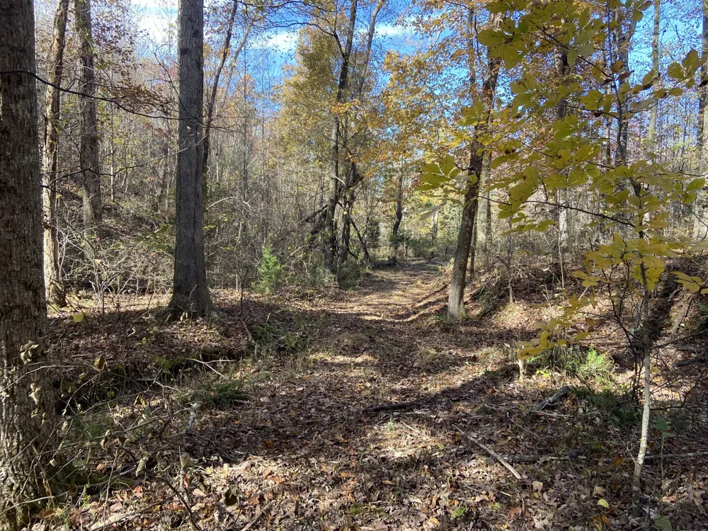 830 Twin Pines Overlook Lobelville, TN 37097