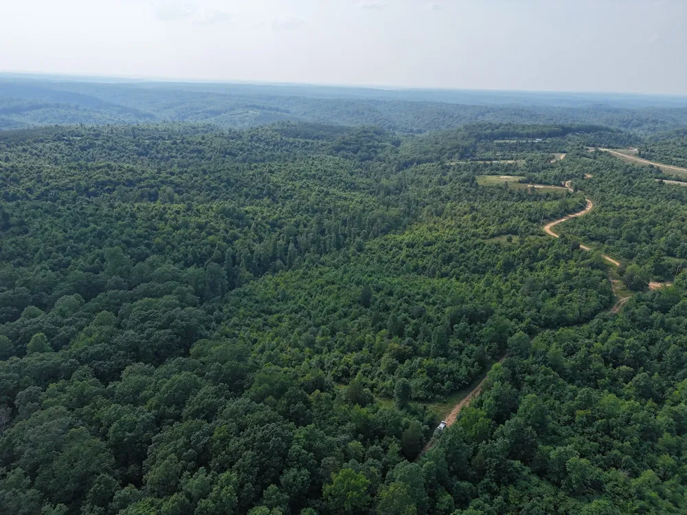 830 Twin Pines Overlook Lobelville, TN 37097