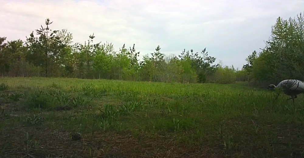 830 Twin Pines Overlook Lobelville, TN 37097