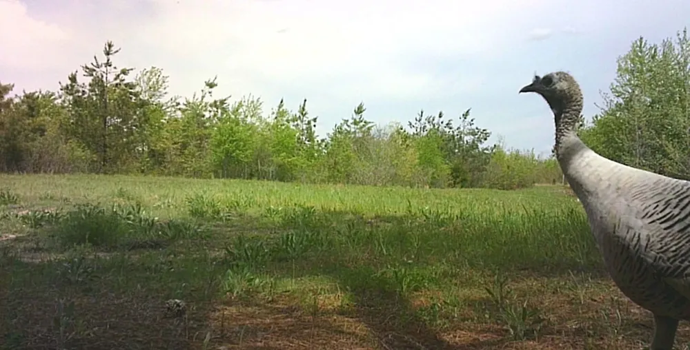 830 Twin Pines Overlook Lobelville, TN 37097