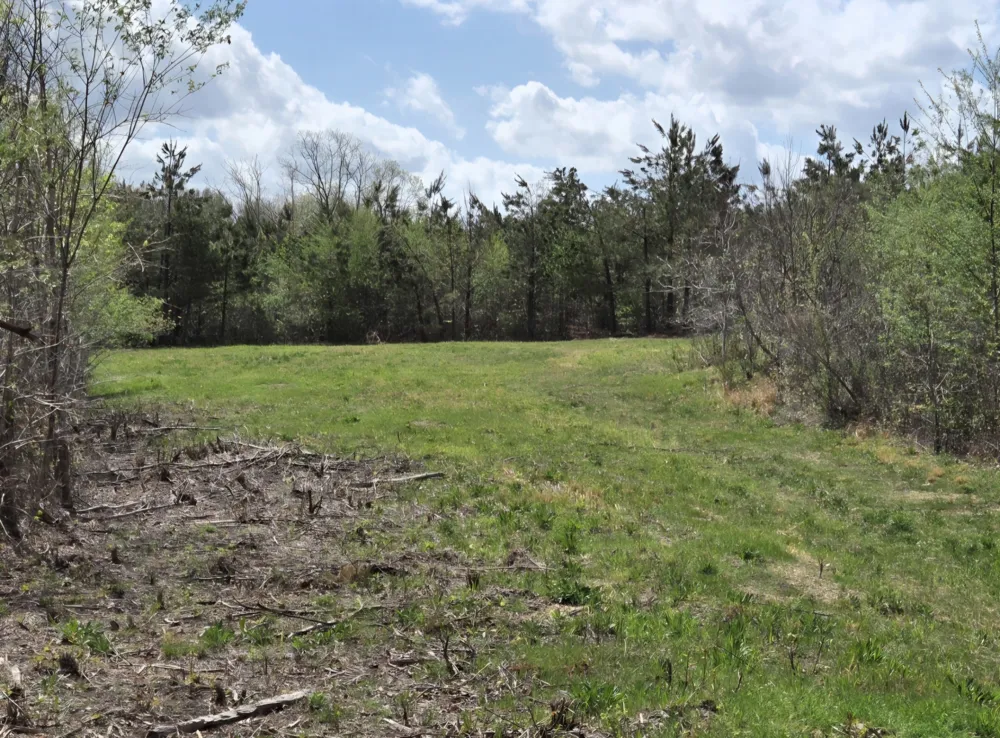 830 Twin Pines Overlook Lobelville, TN 37097