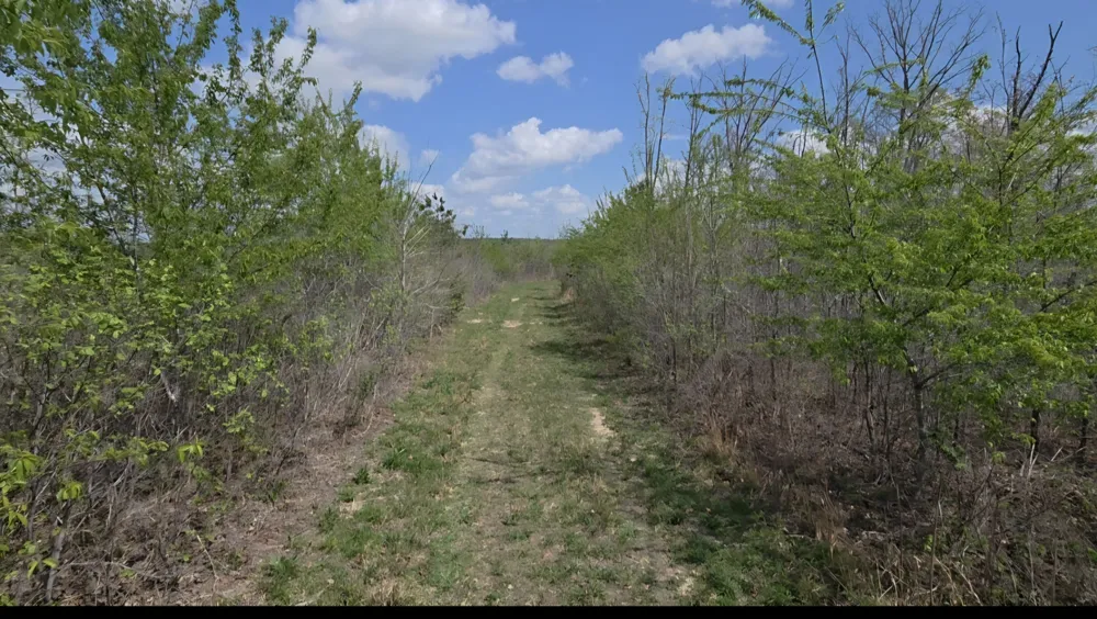 830 Twin Pines Overlook Lobelville, TN 37097