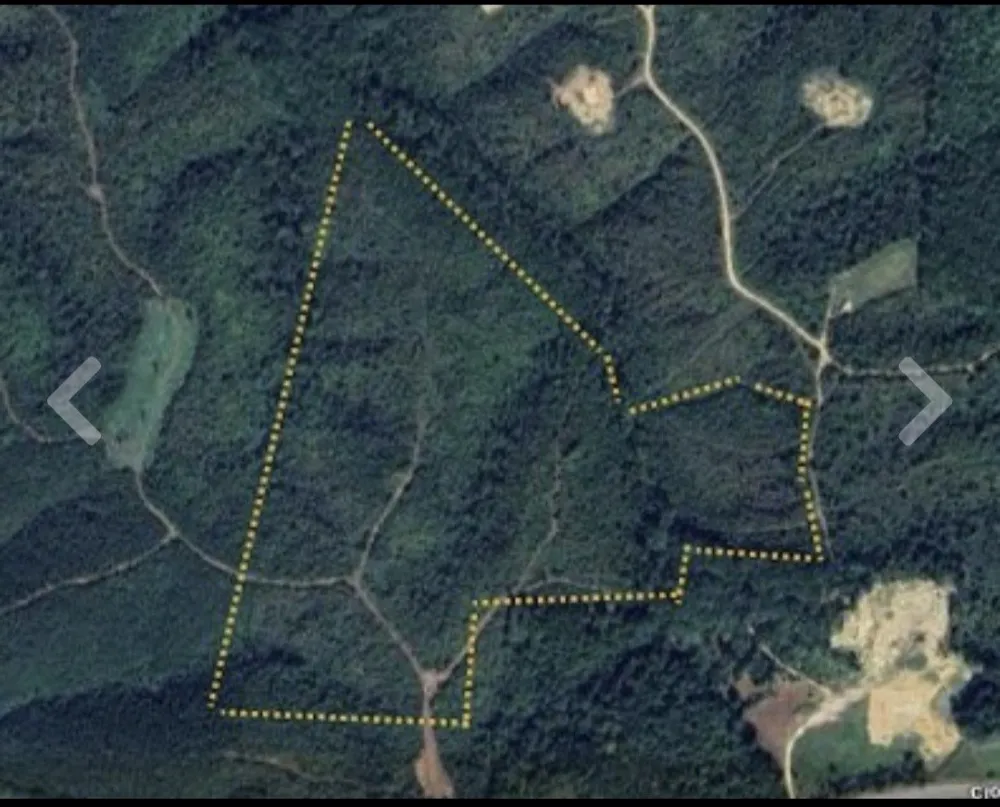 830 Twin Pines Overlook Lobelville, TN 37097
