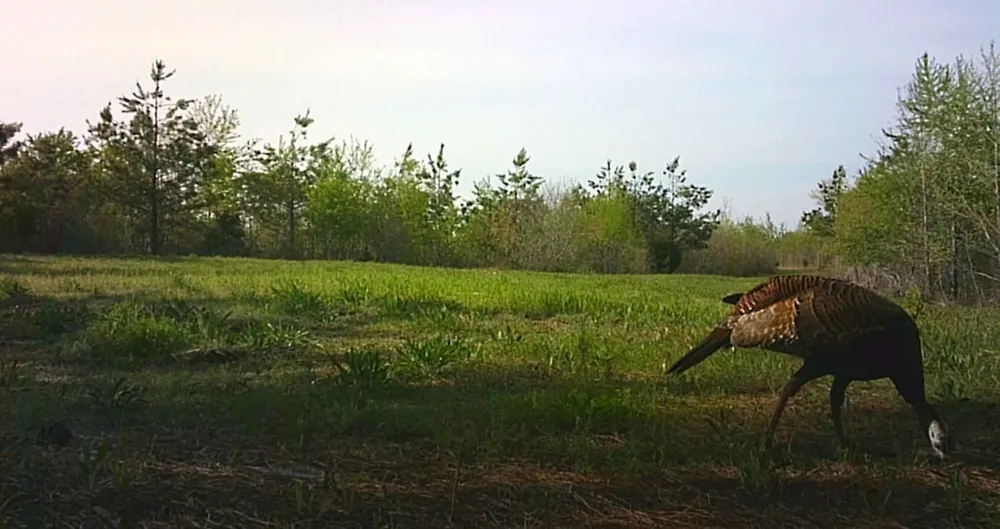 830 Twin Pines Overlook Lobelville, TN 37097