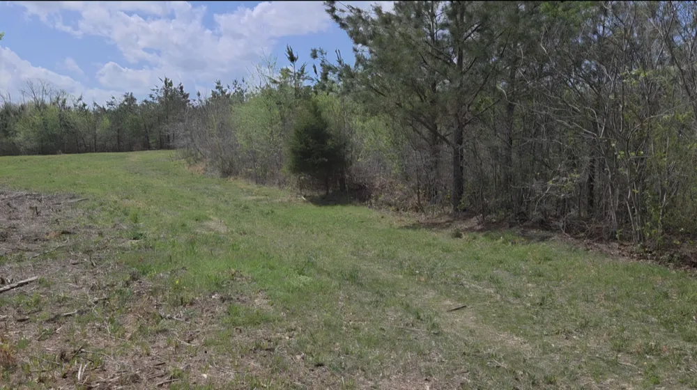 830 Twin Pines Overlook Lobelville, TN 37097