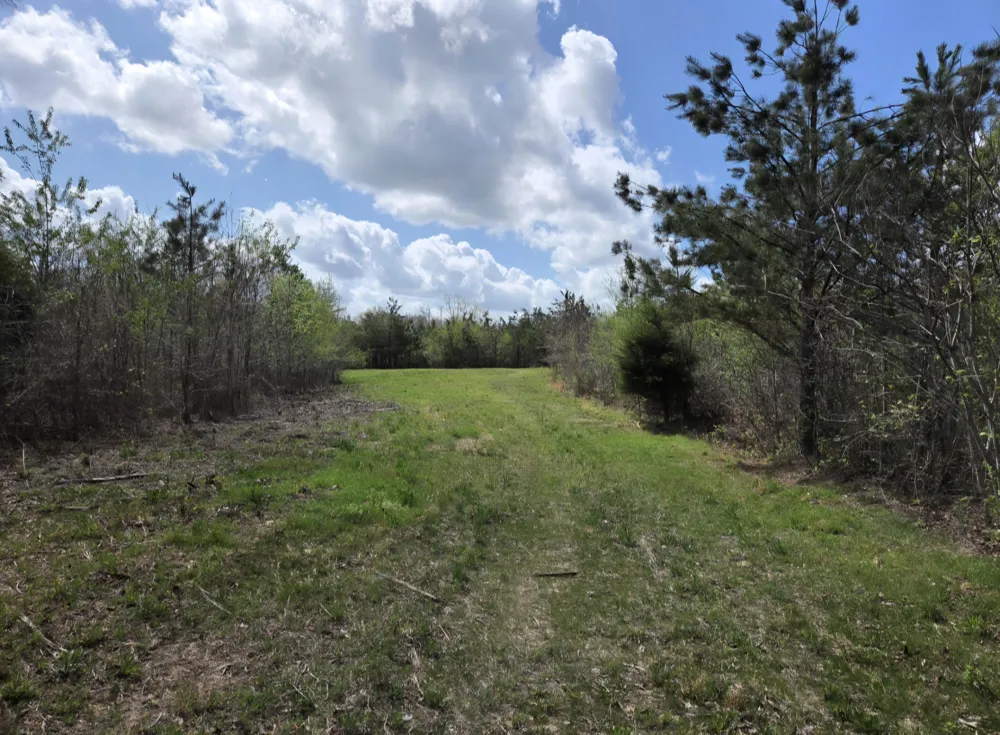 830 Twin Pines Overlook Lobelville, TN 37097