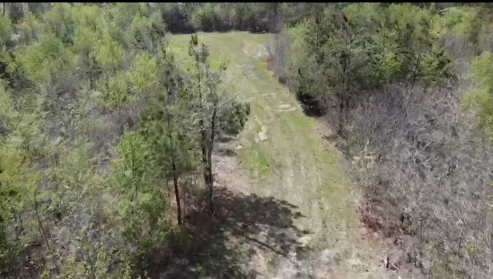 830 Twin Pines Overlook Lobelville, TN 37097
