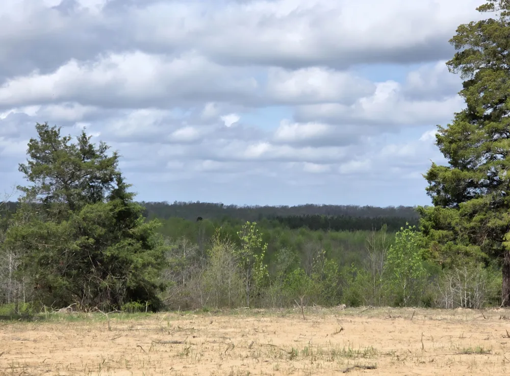 830 Twin Pines Overlook Lobelville, TN 37097