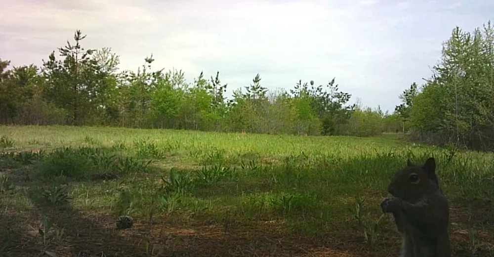 830 Twin Pines Overlook Lobelville, TN 37097