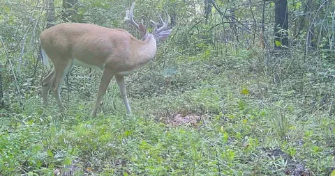 830 Twin Pines Overlook