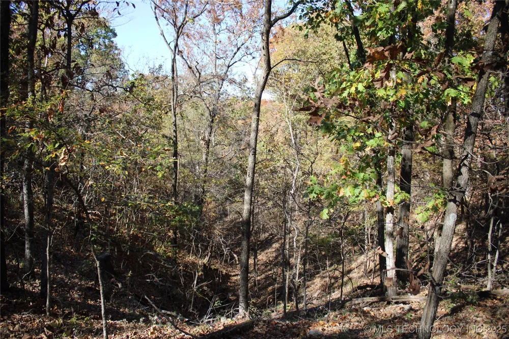 18101 S 641 ROAD Wyandotte, OK 74370